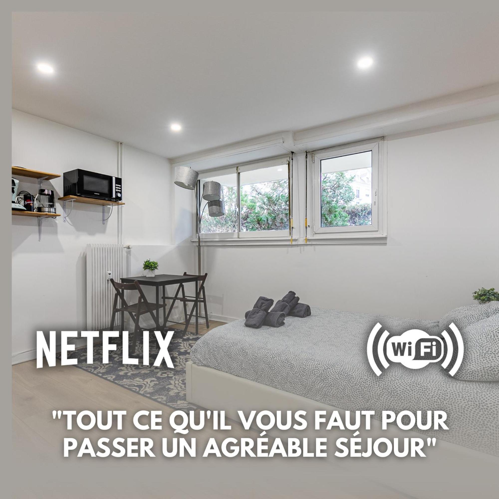 Strasbourg Chaleureux Studio, Orangerie Bagian luar foto